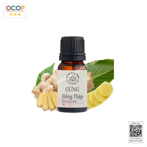  TINH DẦU GỪNG HỒNG NGỰ 