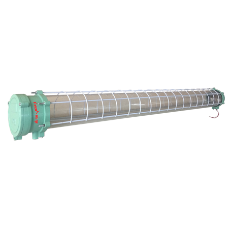 Máng phòng nổ PROTECTOR 2 - 218 (1m2 đôi, LED Tube)