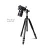 Chân Máy Ảnh G55C+G0Series 4-Section Foldable Carbon Fiber Lightweight Twist Lock Camera Photo Tripod – Chính Hãng KINGJOY