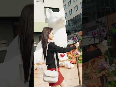 Túi đeo máy ảnh Ulanzi F01 Xám và F02 Đen