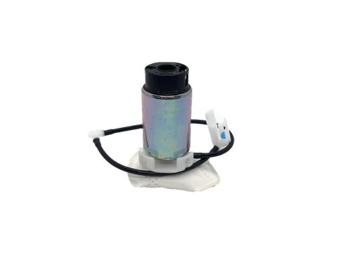  Mô tơ Bơm xăng điện 