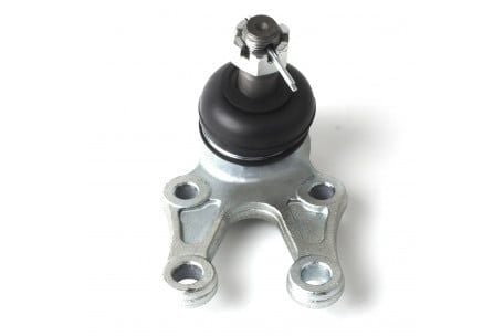  Đứng dưới Zace 