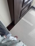  100% Wool Off White Rug 