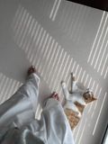  100% Wool Off White Rug 
