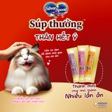 [48g] Súp Thưởng SILVER SPOON Cho Mèo thượng hạng (Túi 8 gói*6g) [48g]