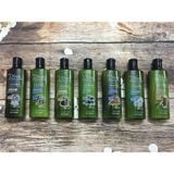 Sữa tắm chó mèo Olive Essence 15.8fl.oz / 450g