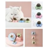 Cỏ mèo catnip/Catmint dạng viên gắn lên tường cho mèo