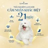Thức ăn Luvcare dành cho chó (Giống bé/Giống vừa/ Giống lớn) Túi 500G và túi 2kg