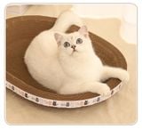 Ổ nằm tròn cào móng cho mèo Size 30-40-45