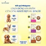 Thức ăn Luvcare dành cho chó (Giống bé/Giống vừa/ Giống lớn) Túi 500G và túi 2kg
