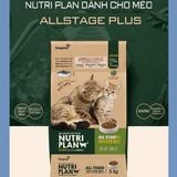 NUTRI PLAN hạt cho mèo tải lớn