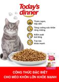 (1KG) THỨC ĂN HẠT TODAY'S DINNER CHO MÈO