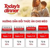 (1KG) THỨC ĂN HẠT TODAY'S DINNER CHO MÈO