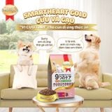 Thức ăn cao cấp cho chó trưởng thành Smart Heart Gold