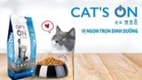 Thức Ăn Hỗn Hợp Hoàn Chỉnh Cho Mèo Cat’s On