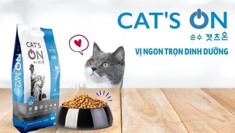 Thức Ăn Hỗn Hợp Hoàn Chỉnh Cho Mèo Cat’s On