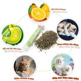Cỏ Mèo (Catnip, Catmint) - Cỏ bạc hà Cho Mèo ống 45ml/ túi 5g