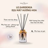Tinh Dầu Nước Hoa Khuếch Tán Thơm Phòng khử mùi thú cưng - EMBER BROWN - 120ml