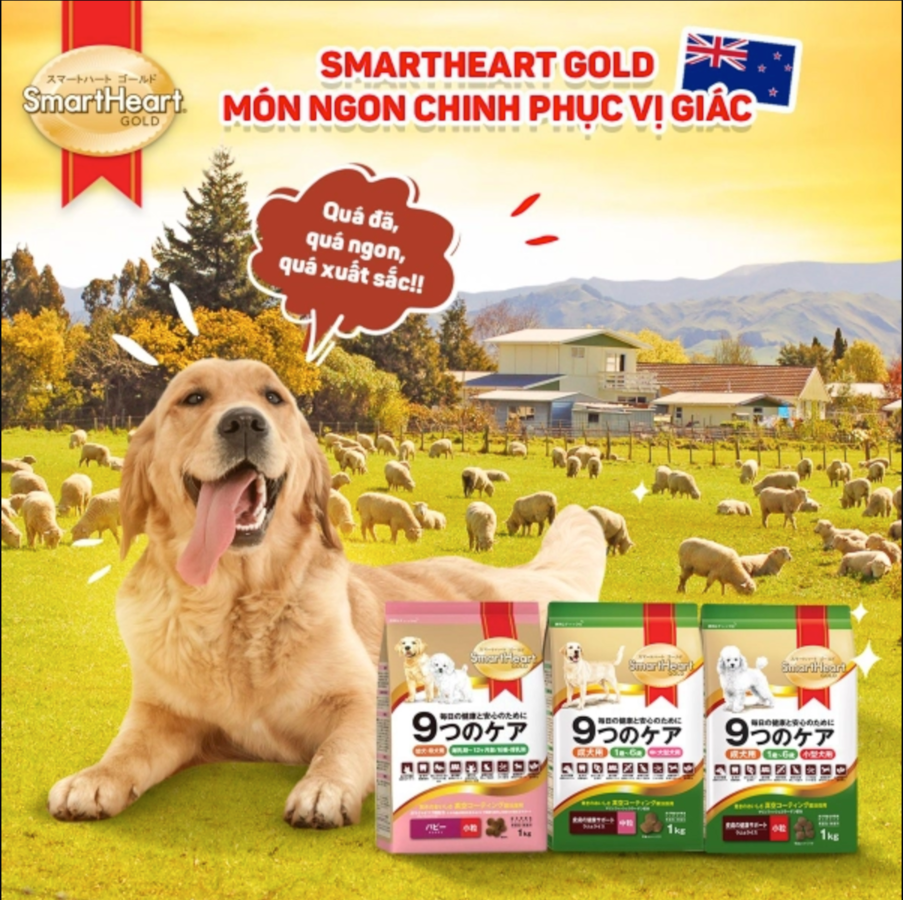 Thức ăn cao cấp cho chó trưởng thành Smart Heart Gold – Petspace.vn