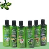 Sữa tắm chó mèo Olive Essence 15.8fl.oz / 450g