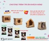 Cát Nhật KING CAT cho mèo, Cát vệ sinh cho mèo khử mùi, vón cục, thấm hút Petspace