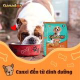 Thức ăn hạt hỗn hợp cho chó Ganador 3 Kg