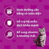 Pate Whiskas Cho Mèo con và mèo trưởng thành đủ vị - Gói 80g