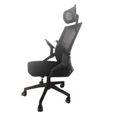 GHẾ CÔNG THÁI HỌC E-DRA - EEC218 Black