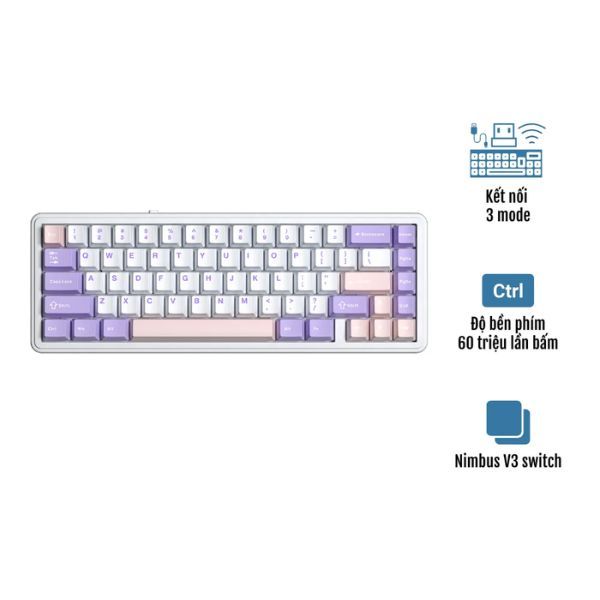 BÀN PHÍM CƠ GAMING AULA F65 3 MODE (Phiên bản Tím + Trắng + Hồng/ Nimbus V3 switch)