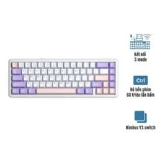 BÀN PHÍM CƠ GAMING AULA F65 3 MODE (Phiên bản Tím + Trắng + Hồng/ Nimbus V3 switch)