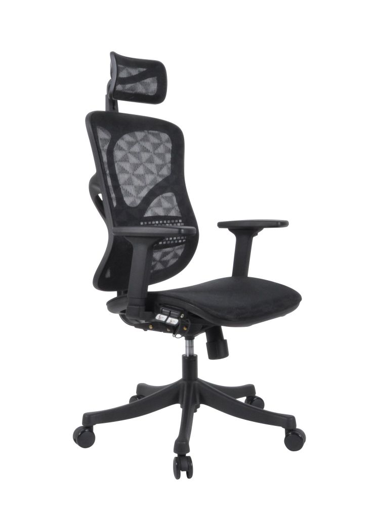 Ghế công thái học WARRIOR Ergonomic Marshal-WEC 610