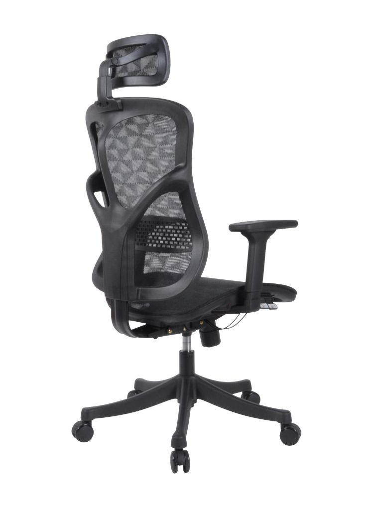 Ghế công thái học WARRIOR Ergonomic Marshal-WEC 610