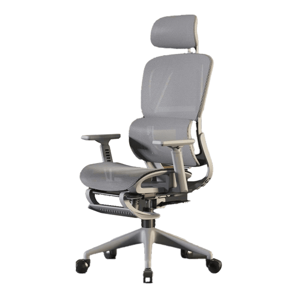 Ghế Công Thái Học CTH919 Ergonomic XÁM