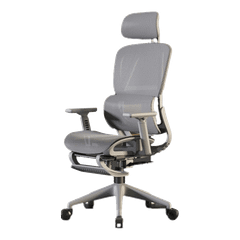 Ghế Công Thái Học CTH919 Ergonomic XÁM
