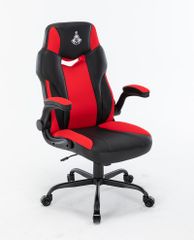 Ghế Game WARRIOR RAIDER SERIES - WGC203 - Black | Black RED
