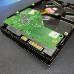 HDD WD 1TB Blue 3.5 inch Cũ