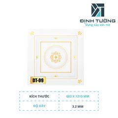 Tấm Trần Kim Cương DT-09