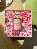  Blooming Field - Phiên bản hộp lụa 