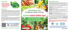 Nano Đồng Bạc