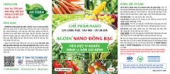 Nano Đồng Bạc