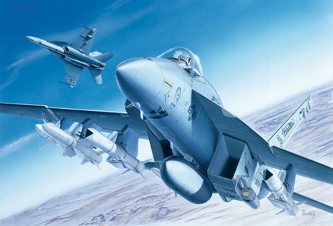  F/A - 18E SUPER HORNET No.0083s - SCALE 1:72 