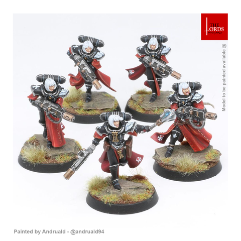  Adepta Sororitas: Battle Sisters Squad 