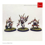  Flesh-eater Courts: Crypt Flayers 