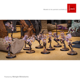  Daughters of Khaine: Witch Aelves 