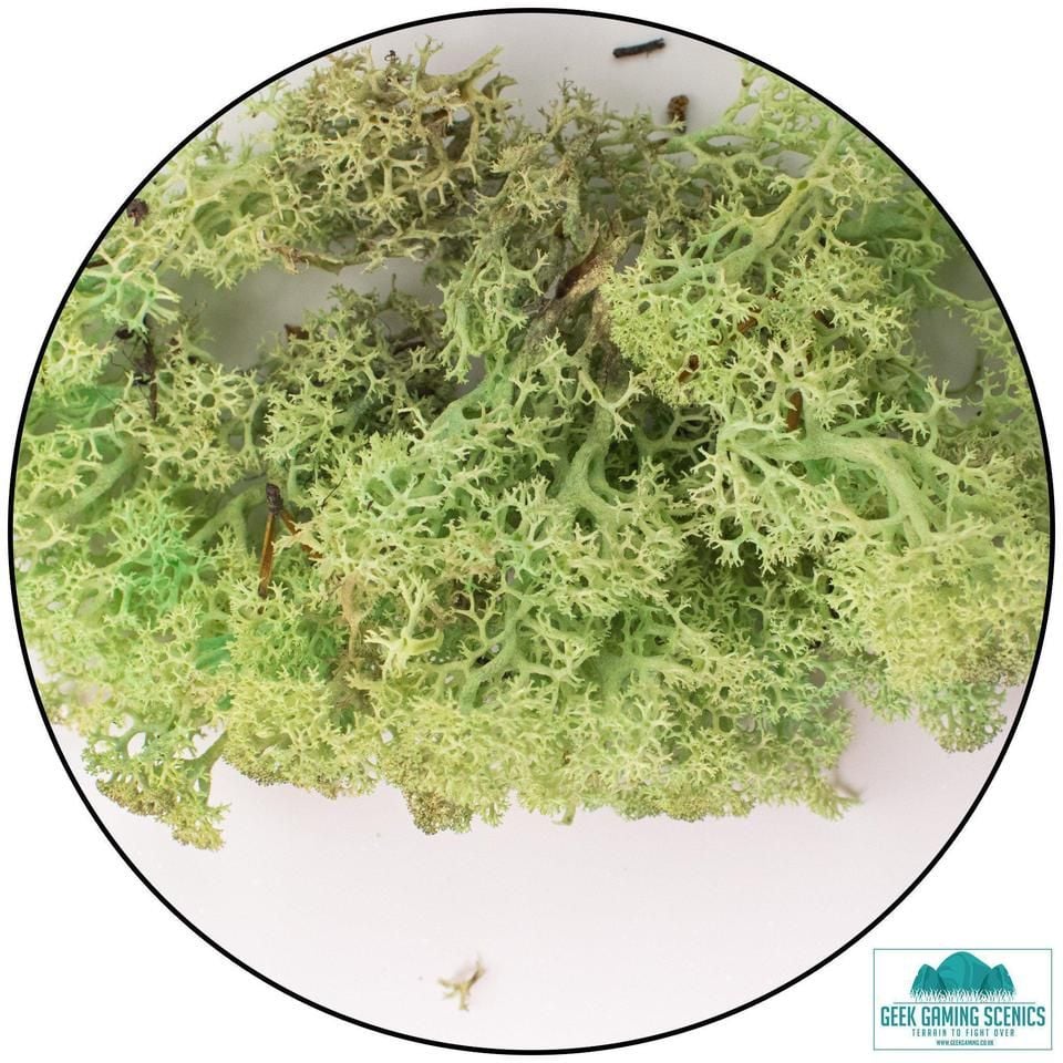  Geek Gaming Scenics: Lichen (20g) Mint Green 