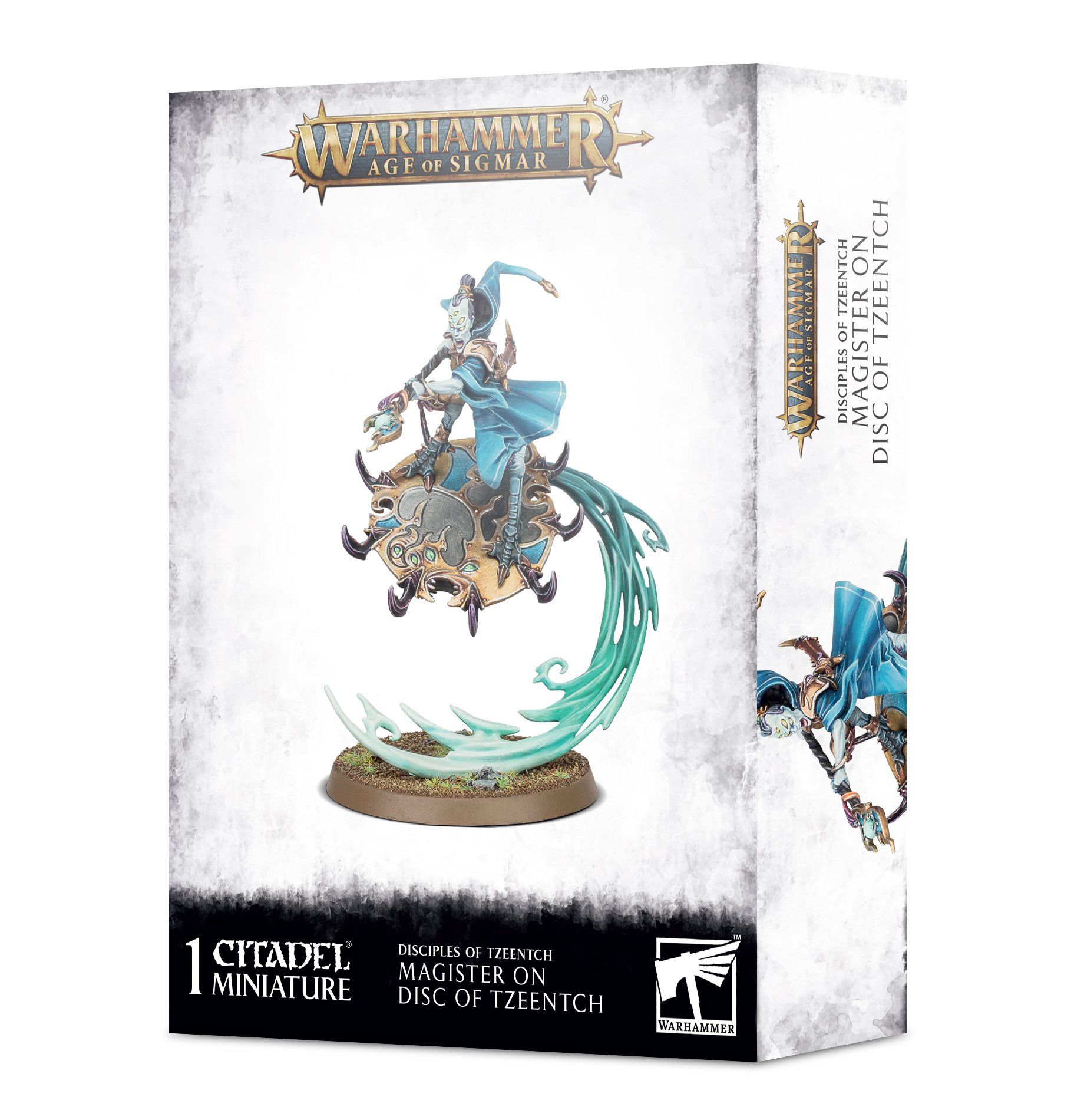  Disciples of Tzeentch: Magister on Disc of Tzeentch 