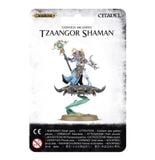 Disciples of Tzeentch: Tzaangor Shaman 