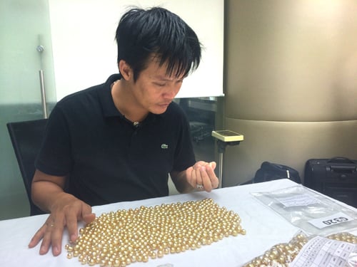 Sau khi thu hoạch, mỗi viên ngọc trai được dùng làm trang sức đều được tuyển lựa cẩn thận.