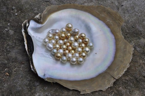 Ngọc trai biển có bao nhiêu loại? (Kỳ 2) - Hoàng Gia Pearl