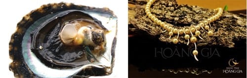 dinh-gia-ngoc-trai-that-10